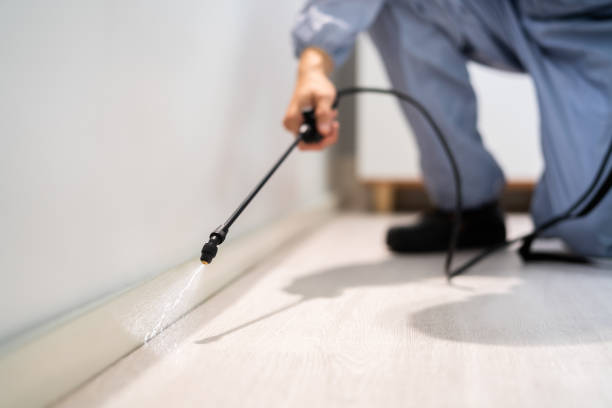 Licensed Pest Control service in Taunton, MA - Show Me Pest Control